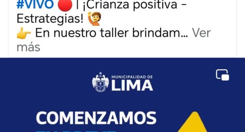 Charla para PADRES. Tema: Crianza positiva: estrategias (03/04/24)