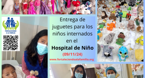 Entrega de juguetes para 152 niños internados en el Hospital del Niño (9/11/24)