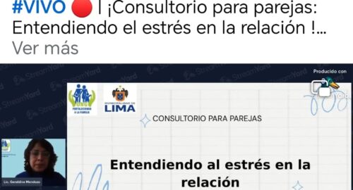 Charla para parejas. Tema: Entendiendo al estrés en la relación (15/11/24)