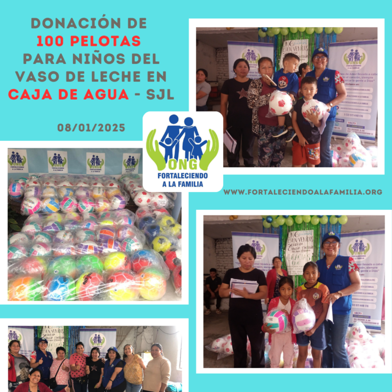 Lee más sobre el artículo Donación de 100 pelotas Viniball para niños del Vaso de Leche en Caja de Agua -SJL (08/01/2025)