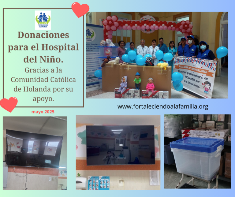 Lee más sobre el artículo Donación de la Comunidad Católica de Holanda de dos televisores, dos racks, cuatro cajas organizadoras y peluches para los niños internados en el Hospital del Niño (09/05/2025)