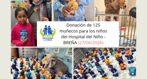 Donación de 125 muñecos llegados desde Holanda para los niños del Hospital del Niño – Breña (27/06/2026)