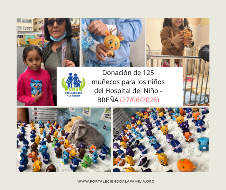 Lee más sobre el artículo Donación de 125 muñecos llegados desde Holanda para los niños del Hospital del Niño – Breña (27/06/2026)